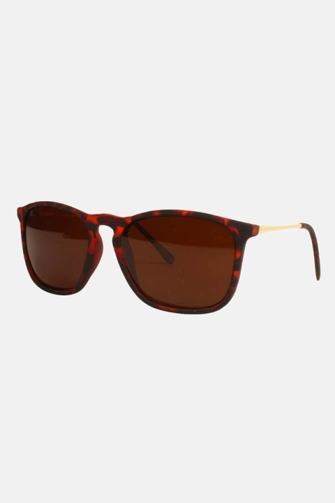 Fashion 1483 WFR  Brun Havana med Guldstænger Sunglassesr