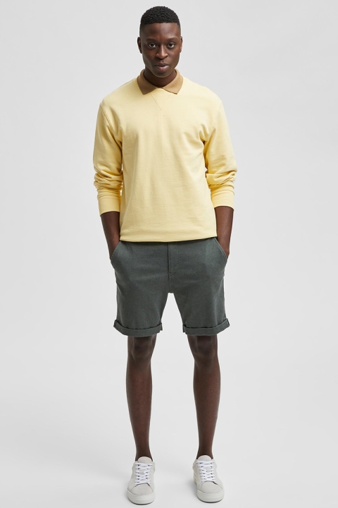 Selected SLHCOMFORT-LUTON FLEX SHORTS W NOOS Agave Green MIXED WITH BLACK