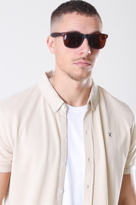 Fashion 1469 WFR Brun Havana Sunglassesr