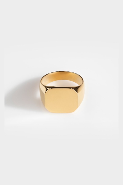 Northern Legacy Ring Classic Signature Gold