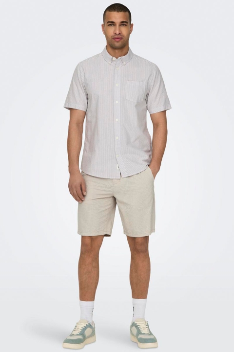 ONLY & SONS Leo Seersucker Shorts Silver Lining