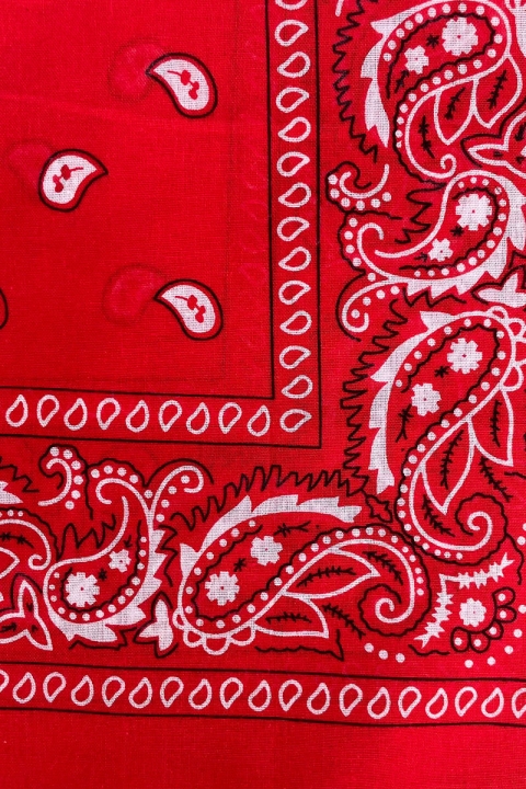 EVERYDAY Filuca Bandana Red