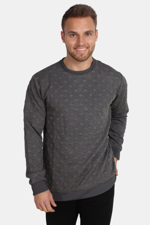 Kronstadt Robbie Circle Sweatshirts Grey Mel