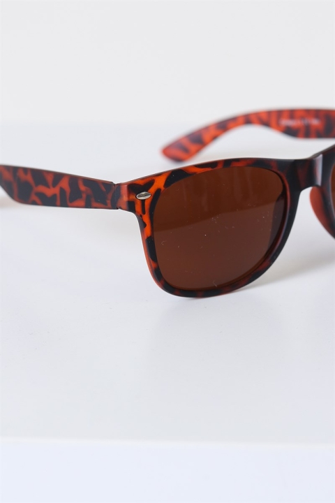 Fashion 1469 WFR Brun Havana Sunglassesr