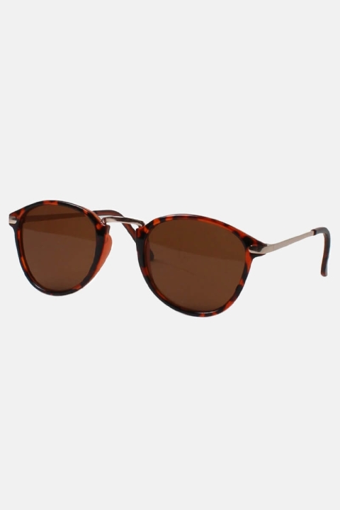 Fashion Sunglasses 1536 Brown/Brown