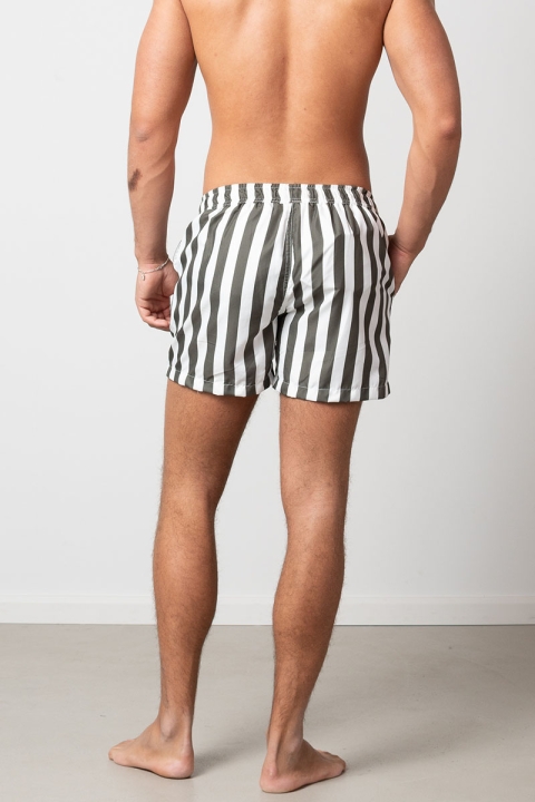 Clean Cut Copenhagen Swim Shorts Bottle Stripe