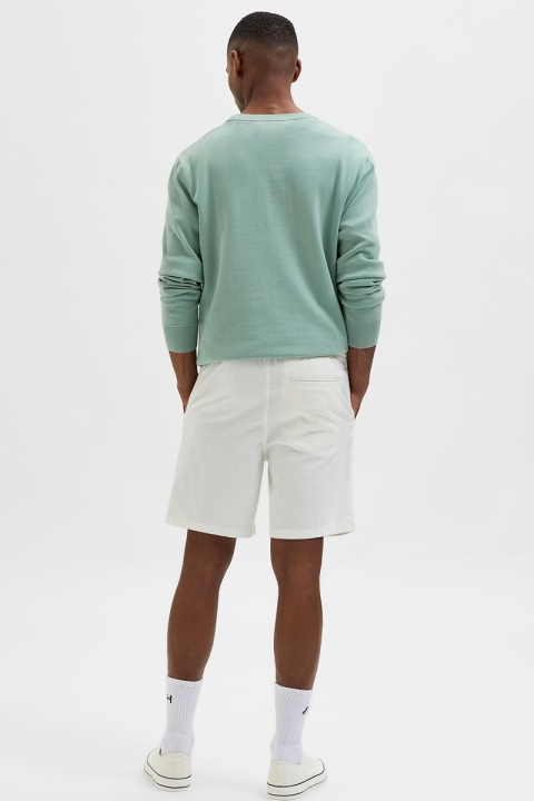 Selected SLHCOMFORT-NEWTON LINEN SHORTS W Cloud Dancer