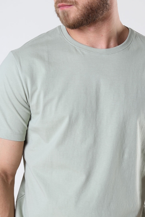 Selected Aspen Tee Desert Sage