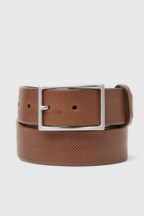 Saddler Tage Belt Brown