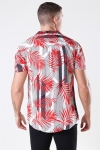 Solid Brando S/S Cuba Tropic Shirt Valiant PO