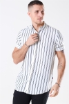 Denim Project Grande S/S Shirt White Stripe