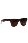 Fashion 1481 WFR Sunglasses Havanna/Brown