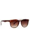 Fashion 1492 WFR Sunglasses Havanna/Brown 