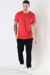 Solid Rock Basic Tee Baked Apple