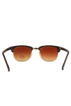 Fashion Clubmaster 1449  Sunglassesr Trælook/Guld 