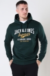 Jack & Jones LOGO SWEAT HOOD 2 COL 22/23 Pine Grove