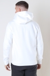 Jack & Jones STAR BASIC SWEAT ZIP HOOD Cloud Dancer