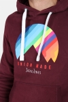 Jack & Jones Jortao Sweatshirts Hoodie Port Royale