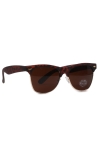 Fashion 1480 WFR Sunglasses Havanna/Brown 