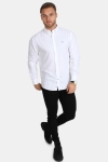 Kronstadt Johan Oxford White