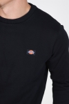 Dickies New Jersey Sweatshirts Black