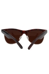 Fashion 1481 WFR Sunglasses Havanna/Brown