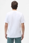 DICKIES ICON LOGO TEE WHITE