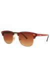 Fashion Clubmaster 1449  Sunglassesr Trælook/Guld 