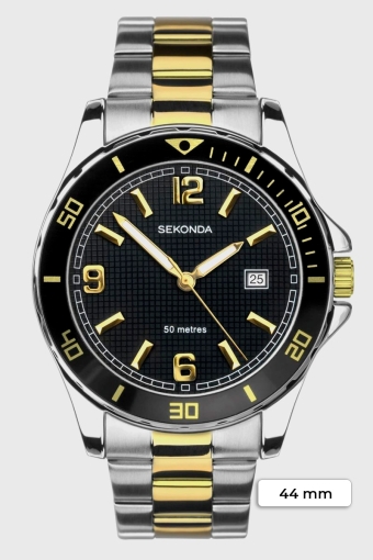 1581 Two-Tone Sports Watch