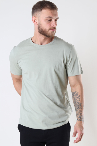 Aspen Tee Desert Sage